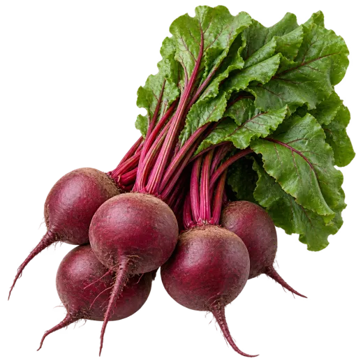 Betabeles